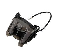 FUYRHP Rear Light Taillight Motorcycle LED Light Rear For MT-09 FZ-09 2017-2020 E-Mark Tail Light Brake Turn Signals Integrated