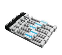 FUYU FSK30J 5 Pieces Mini-Linear Guide Rail Ladder Type Screw Linear Actuator Slide Table Small CNC Stage Motorized Nema 11 Stepper Motor 100mm Stroke