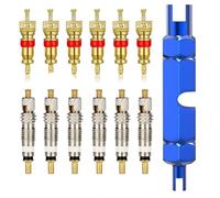 FUZVOL 13 PCS Valve Core Remover Tool Kit with Replacement Presta and Schrader Valve Core,Valve Core Remover Tool Repairing Tyre for Universal Car,Bike and Motocycle