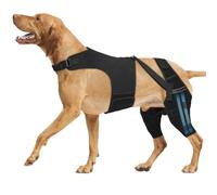 FUZYXIH Pet Hind Leg Support Stabilizer for Improved Mobility and Balanced Weight Distribution Knee Brace to Relieve Joint Pain Strengthening Dog Hind Leg