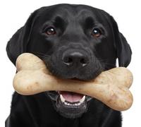 Fuzzl Large Seriously Tough Tasty Bone Beef Infused 18cm Nylon Dog Chew Toy - Infused Beef Bone Tough Dog Toys for Extreme Chewers Dog Bone Long Lasting for Aggressive Chewers Strong Dog Toy