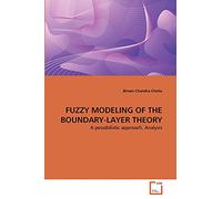 FUZZY MODELING OF THE BOUNDARY-LAYER THEORY: A possibilistic approach, Analysis