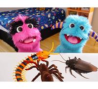 Fuzzy plays a prank of his friends with fake bugs! Fuzzy learns compassion.