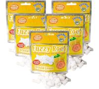 Fuzzy Rock Crystal Lemon Mints- Natural Sugar-Free Breath Freshener with Xylitol Crystals for Fresh Breath, Clean Teeth & Healthy Gums | Great for Travel, Gum Health & Oral Care (5 Packs)