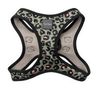 FuzzYard Savanna Dog Harness | No Pull Adjustable Dog Vest Harness for XS-Small Size Breed Dogs Built, No Choke and Comfortable Fit for Everyday Running, Walking & Training | XS-Small