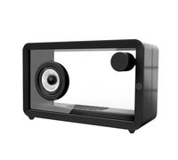 FVDPWYE Transparent Portable Stereo Speaker 8W RGB Lighting Stable Connection Five Modes Suitable for, Black