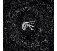 Fvnerals - Let The Earth Be Silent