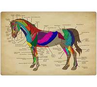 FWJZDSP Anatomy Of The Horse Metal Signs Wall Decor Equine Literacy Retro Poster Horse Breeder Education Plaque Decoration Farmhouse Backyard Ranch 12x16 Inches