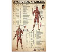 FWJZDSP Ayurveda Marmas Metal Signs Retro Medical Knowledge Posters Learning Infographics Plaques Home Club Office Wall Decor 8x12 Inches