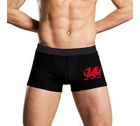 FWJZDSP Flag of Wales Welsh Red Dragon Men's Underwear Boxer Briefs Soft No-Ride-Up Wicking Underpants