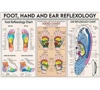 FWJZDSP Foot Hand And Ear Reflexology Knowledge Canvas Painting Prints Wall ArtLearning Chart Frameless Poster for Hospital ClinicOffice Wall Decor 12x16inch
