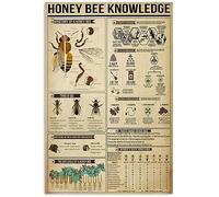 FWJZDSP Old Tin Plaque Vintage Honey Bee Knowledge Metal Tin Signage Anatomy Of Ahoney Bee Bar Man Cave Living Room Wall Art Deco Funny Gift