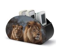 FWJZDSP Remote Control Holder, Leather TV Two Lions Remote Caddy Organizer, Desktop with 5 Compartments, Bedside Table Organizer for Home, Office, Living Room, Nightstand