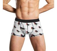 FWJZDSP Robin Bird Print Men's Boxer Briefs Soft Lightweight Underwear Stretch Trunks