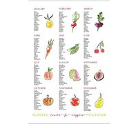 FWJZDSP Seasonal Fruit and Vegetable Wall Decor - Food Type Chart Posters for Home, Office, Studio, Classroom - 12x16 Inches