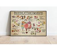 FWJZDSP Vintage Metal Tin Sign Doctrine of Foods Signatures Knowledge Retro Poster Colon Knowledge Nutrition Doctors Gift Hospital Decor Home Room Office Wall Decor Plaque 12x16 Inches