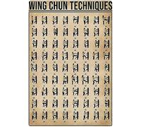 FWJZDSP Wing Chun Techniques Metal Tin Signs Wing Chun Knowledge Science Posters Beginner's Guide Gift Plaques Home Martial Arts Room Bedroom Wall Decor 12x16 Inches