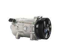 FWNERGUL Air Conditioning Compressor Compatibie for Audi TT Quatro VW Jetta Golf Beetle Clutch Suit 1J0820803A 1J0820803AX 1J0820803B 1J0820803K 1J0820803KX