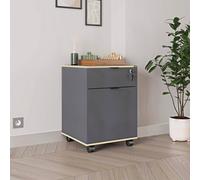 Fwstyle 1 Door 1 Drawer Lockable Mobile Office Storage Cabinet - Anthracite Grey Grey One Size