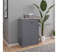 Fwstyle 2 Door Lockable Office Storage Cabinet Anthracite Grey Grey