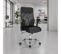 FWStyle Black Mesh Striped Ergonomic High Back Stylish Office Chair FWStyle Black
