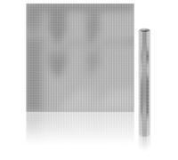 FX Lab Glass Mirror Sheets - 300mm x 300mm