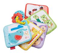 FXB92 Fisher Price 1-to-5 Learning Cards