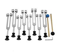 Fxndknjks Tuning Forks Set for Gesison, Sound Tetaping (126.22 Hz, 136.1 Hz, 141.27 Hz, 172.06 Hz, 194.18 Hz, 210.42 Hz, 221.23 Hz) Silver