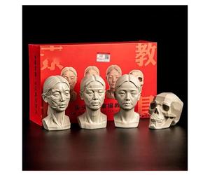 FXNFXLA 4Pack Standard Planar Head, Head Model for Artists, 2 in1 Original & Planar Face, Human Manikin Head for Medical and Artistic Drawing Skecthing Painting
