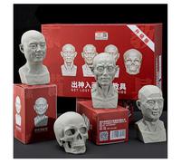 FXNFXLA Head Model for Artists Learn Planes of Face, Skull Muscle Plane Heads Set, Standard Planar Head, Small Manikin Head for Art Drawing Skecthing Study (4PC)