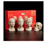 FXNFXLA Head Model for Artists Learn Planes of Face, Skull Muscle Plane Heads Set, Standard Planar Head, Small Manikin Head for Art Drawing Skecthing Study (4PC)