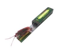 Fycakly Cockroach Prank Chewing Gum Prank Cockroach Head Toy Gadgets Inserted with Packaging Realistic Shocking Pull Trick Novel Adult Funny Halloween ' Day Party 887