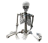 Fycakly Outdoor Halloween Decor Halloween Skeleton Prop Deco Skeleton Life Size Full Body Posable Joints Skeletons Human Full Size Hand Life Body Anatomy Model Event (B, One)