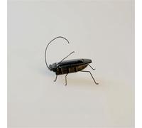 Fycakly Solar Powered Micro Cockroach Toy Educational Model This Quirky Solar Cockroach Toy Is A for Children and Adults Who Unique Gadgets and Scientific Toys. 10