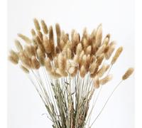 Fychuo Bunny Tails Pampas Grass Home Decor Dried Grasses for Vases Cake, 50pcs Rabbit Tails Bouquet Small Dried Flowers Table Decoration Room Natural