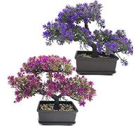 Fycooler Artificial Bonsai Tree - Fake Plant in Pot, Japanese Pine Bonsai for Home Decoration, Office/Windowsill/Yard, Desktop Display, Indoor Zen Garden Décor (2 Color Set, 10 x 8 x 3 Inches)