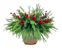 Fycooler Christmas Real Touch Norfolk Pine Stem,18Inch Artificial Needle Branches Faux Evergreen Sprigs Fake Foliage Greenery Picks for Xmas Garland Wreath DIY Crafts Home Decor with Berry Stem 8inch