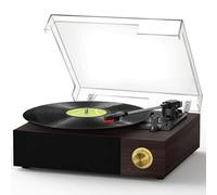 FYDEE Vinyl Record Player, Record Player with 2 Built-In Stereo Speakers, Belt-Driven 3-Speed Vintage Vinyl Player, Bluetooth 5.4 Retro Turntable Supports AUX Input and RCA Output - Ebony