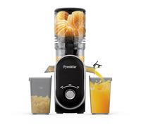 Fyenkfar cold press slow juicer an ideal choice for healthy drinks, retaining nutrients, supporting a diverse diet, and being safe and harmless, suitable for those who love health (black01)