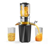 Fyenkfar cold press slow juicer an ideal choice for healthy drinks, retaining nutrients, supporting a diverse diet, and being safe and harmless, suitable for those who love health (Black)