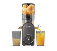 Fyenkfar cold press slow juicer an ideal choice for healthy drinks, retaining nutrients, supporting a diverse diet, and being safe and harmless, suitable for those who love health (gray)