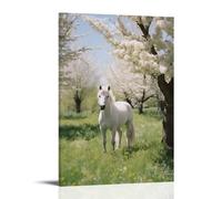FYFMUSHE White Horse Canvas Wall Art Paintings Country Garden Nature Animal Pictures on Canvas Prints Framed Ready to Hang Artwork for Bedroom Home Decor 12x18inch(30x45cm)