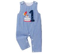 FYMNSI Baby Boys 1st First Birthday Outfit Gingham Sleeveless Romper One Year Old Party Smash Cake Photo Shooting Infant Bodysuit Bib Overall One-piece Jumpsuit Playsuit Blue 6-12 Months