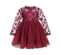 FYMNSI Baby Girl Birthday Party Dress Floral Mesh Long Sleeve Tutu Tulle Princess Dresses for Toddler Infant Wedding Guest Pageant Christening Baptism Easter Evening Formal Wine Red 12-18 Months