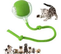 FYNDORS Interactive Dog Ball, Upgraded Self Moving Toy, Chewie Viral Electric Dog Toys, Active Rolling Ball for cat Dogs, 360° Smart Automatic Rolling Pet Balls with Tail (Green)