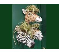 Fyne-Finds Animal Head Wall Planters Giraffe Leopard Zebra Plant Cache Pots Safari Animals Nursery Home Decor (Giraffe)