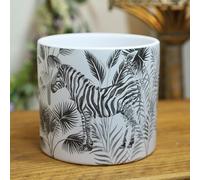 Fyne-Finds Round Ceramic Zebra Animal Jungle Scene Succulent Cactus Indoor Home Planter 12cm, 5inch Herb Plant Pot Cover Holder