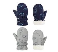 Fynnsure Toddler Mittnes Lined Fleece Snow Gloves for Boys Girls Kids Winter Ski Gloves Baby Mittens, A Blue & Gray, 4-6 Years