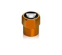 FYOBOT 4pcs Car Tire Valve Stem Caps for Dacia Duster Logan Sandero 2 Mcv Sandero, Auto Dustproof Anti Theft Corrosion Resistant Valve Caps Accessories,-Orange
