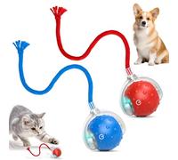 Fyozyon 2Pcs Tinyfetch Dog Toy, Interactive Dog Cat Toys Balls with Birdsong, Rechargeable 360° Smart Automatic Rolling Electric Dog Ball Toy with Rope for Pets Indoor & Outdoor Play (Red+Blue)